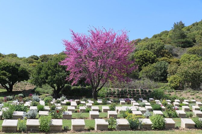 2-Day Gallipoli and Troy Tour from Istanbul and return - Gallipoli battlefield day: guided stops that connect the dots