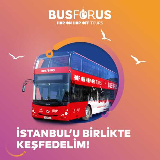 2 Days – 2 Routes – Unlimited Istanbul Experience - Open-Top Double-Decker Panoramas: What You Get From the Ride