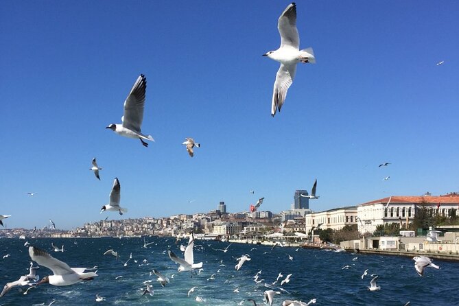 2-Hour Private Luxury Yacht Cruise on Bosphorus with Transfers - The Best Moment to Book: Choosing Your Departure Time for the Views