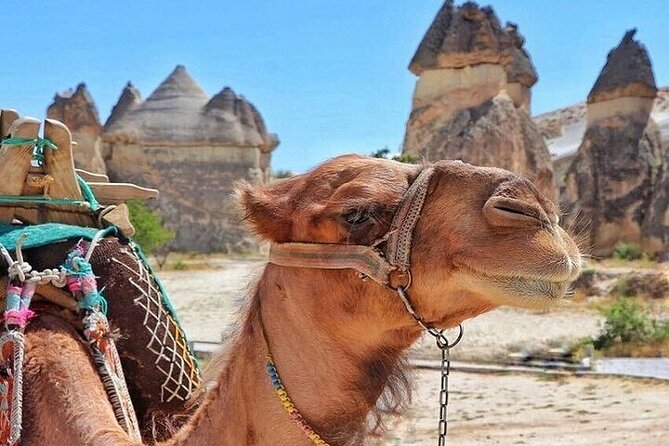 3-Day Cappadocia Tour with Camel Ride & Optional Balloon Ride - Key highlights I’d circle first
