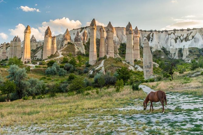 7 Days Turkey Tour Package: Istanbul, Cappadocia, Ephesus, Pamukkale - by Flight - The big win: licensed guides and tight logistics