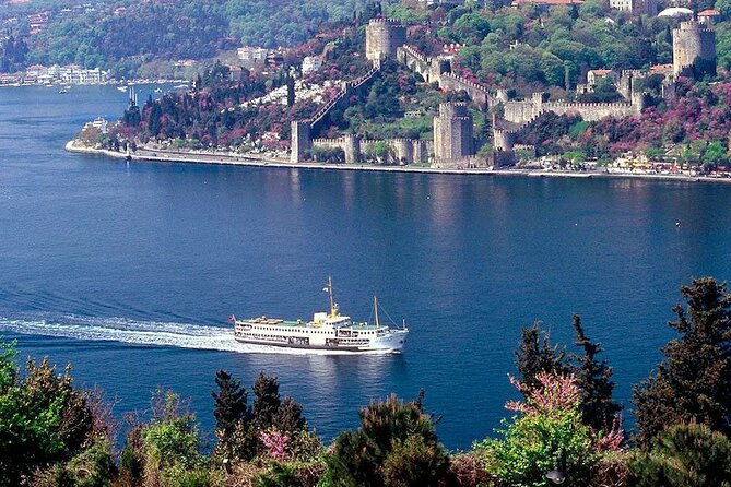 Afternoon Bosphorus Cruise Along the Shore - Maiden’s Tower and Ortaköy: Two Stops With Strong Local Identity