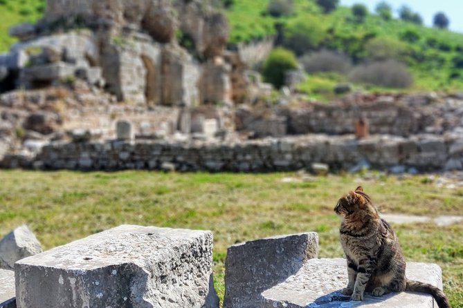 All Inclusive Private Ephesus Day Trip from Istanbul by Plane - Morning logistics: Sabiha Gökçen to Izmir, then straight to Ephesus