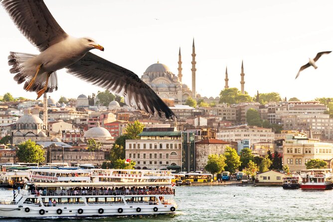 Asian Side of Istanbul Tour - Half-Day Small Group Tour - Beylerbeyi Palace: Ottoman Summer Residence With Neo-Baroque Details