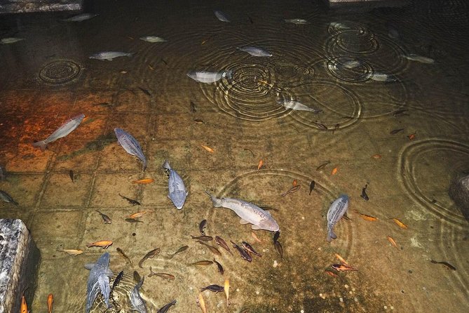 Basilica Cistern Skip the Line Ticket - Spotting the Medusa Heads: Where the Famous Statues Sit