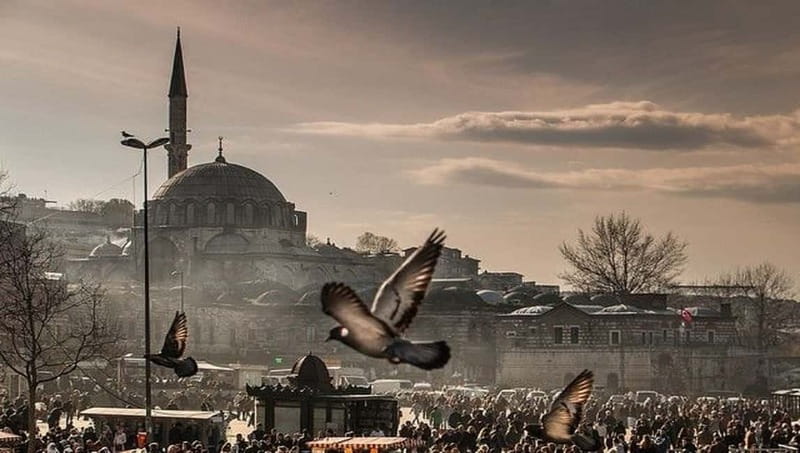 Best Of Istanbul 1, 2 or 3-Day Private City Guided Tour - Price and what you actually get for $43 per person