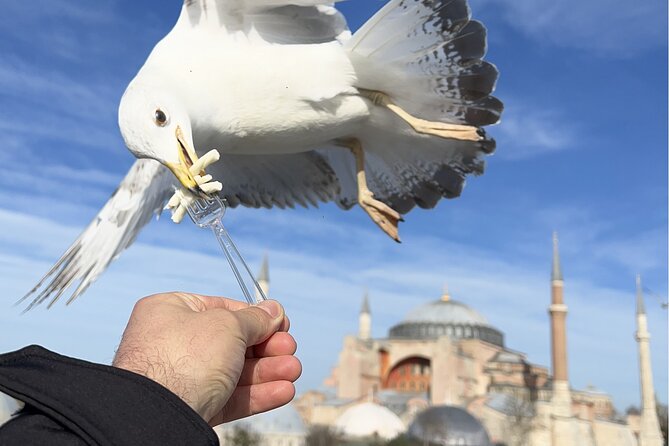 Best of Istanbul City Full-Day Tour with Transfers - A full-day Istanbul highlights route that actually saves energy