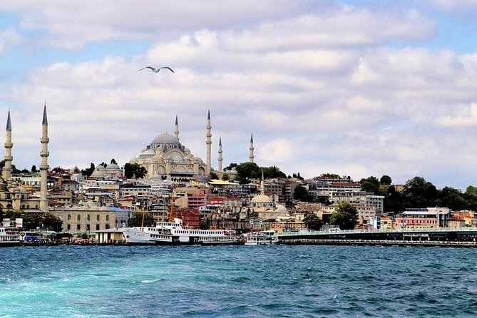 Bosphorus Cruise Tour Istanbul - Small Group Size and Guide Support in English and Russian