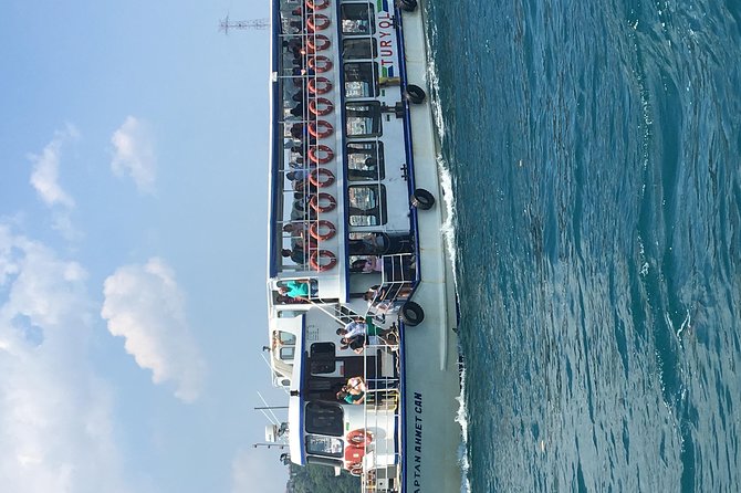 Bosphorus Cruise With Dolmabahçe Palace and Fortresses - A small-group Istanbul day with Dilek Turka