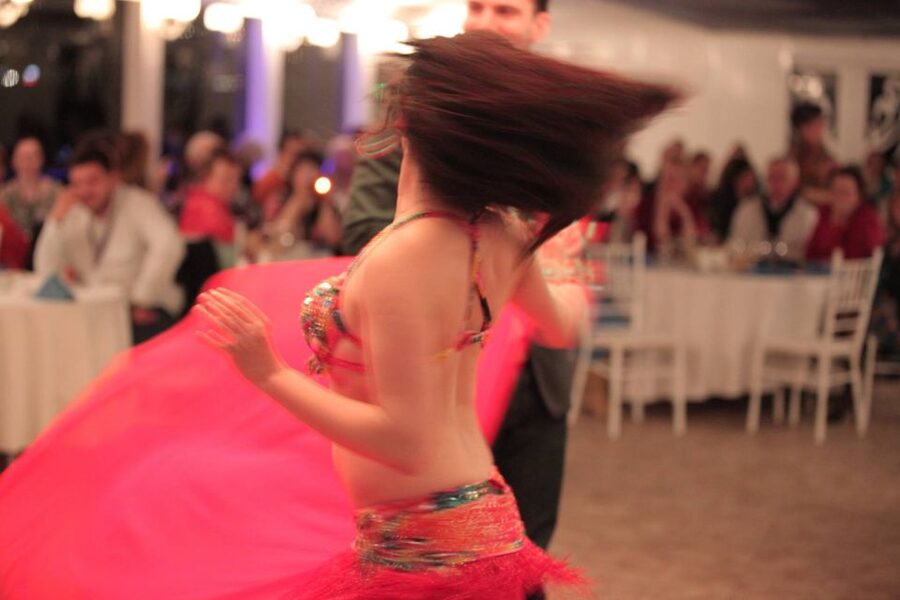 Bosphorus Dinner Cruise with Live Performances Experience - The on-board dinner: Turkish main courses and local drinks