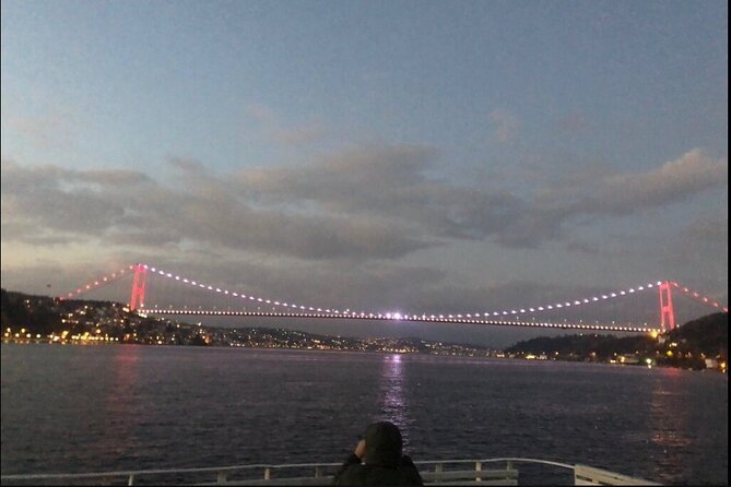 Bosphorus Explorer: 3-Hour Cruise with Asian Side Visit - The real draw: seeing Istanbul from the Bosphorus, not the sidewalks