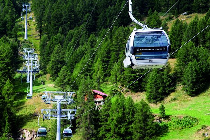 Bursa and Uludag Tour from Istanbul - Uludag Mountain Time: Lunch, the 600-Year-Old Plane Tree, and Room to Wander