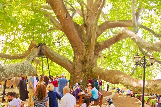 Bursa And Uludağ Tour From İstanbul with Cable Car & Lunch - Shopping stops and how to keep them from taking over your day