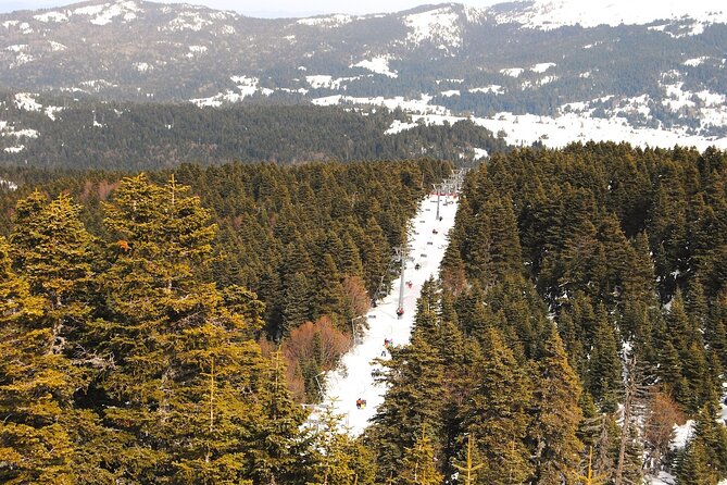 Bursa City and Uludag Mountain Day Trip with Pick up & Cable Car - Bursa city in 2.5 hours: Green Mosque and market time