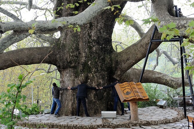 Bursa Day Trip from Istanbul - Who This Bursa Day Trip Is Best For