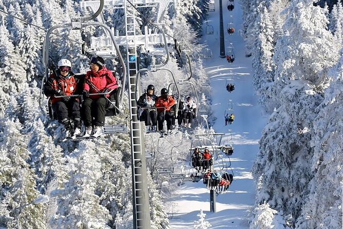 Bursa Day Trip from Istanbul with Uludag Cable Car Experience - Bursa stops after the mountain: Green Mosque and the jam preserve visit