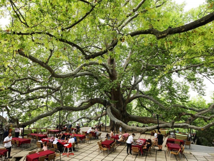 Bursa Full Day Sightseeing Tour from Istanbul - Who should book this Bursa tour, and who should skip it