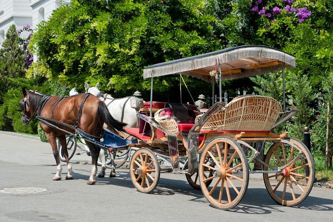 Buyukada Princes’ Island Guided Day Tour with lunch from Istanbul - Topkapi Palace and Maiden’s Tower: how the landmarks fit (and what to expect)