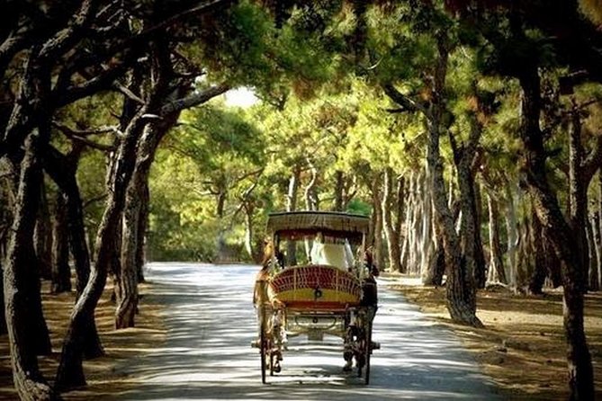 Buyukada Princes’ Island Guided Day Tour with lunch from Istanbul - The horse carriage ride: the fun part, the queue part, the photo part