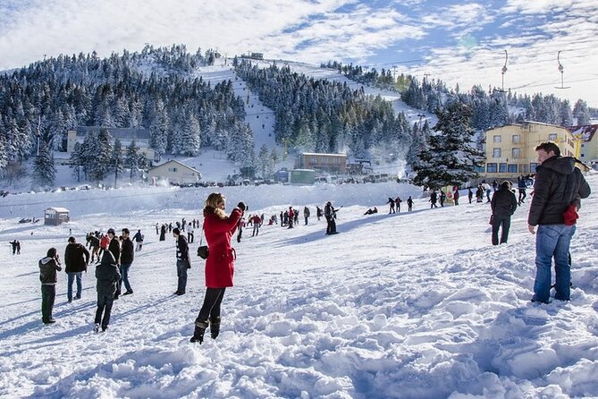 Daily Bursa Uludag Mountain & Cable Car Tour with Lunch from Istanbul - Bursa to Uludag Break: The Plane Tree Stop You Can Actually Appreciate
