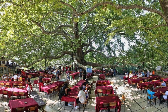 Daily Bursa Uludag Mountain & Cable Car Tour with Lunch from Istanbul - Uludag National Park: Nature Time, Then Cable Car Down
