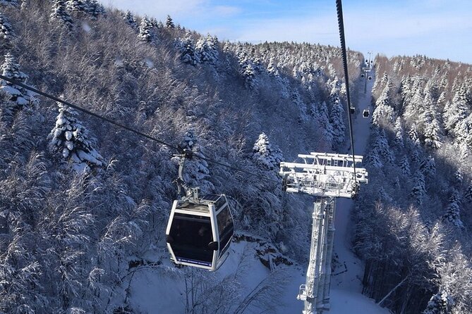 Daily Bursa Uludag Mountain & Cable Car Tour with Lunch from Istanbul - Price and Value: Is $50.57 a Fair Deal?