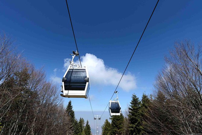 Daily Green Bursa Tour From Istanbul - Pickup and timing in Istanbul: why your morning might start earlier than you think