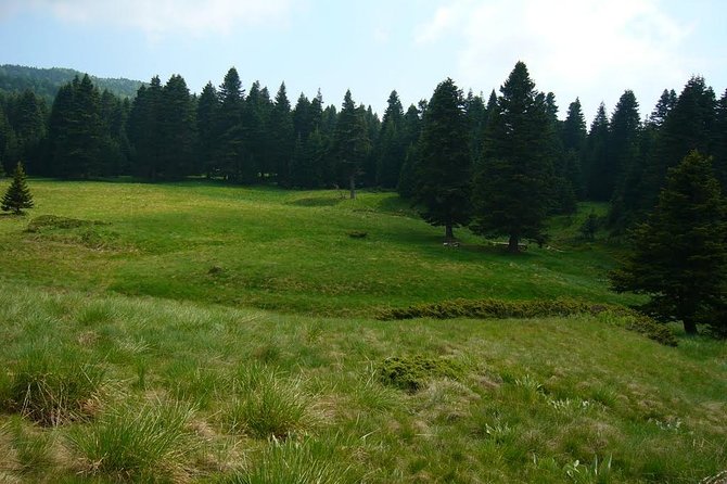 Daily Green Bursa Tour From Istanbul - Who should book this Bursa trip, and who might be happier elsewhere
