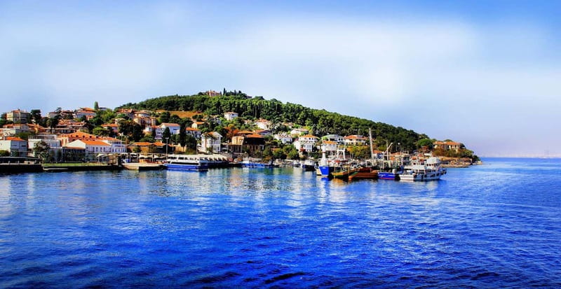 Daily Prince’s Island Tour from Istanbul - Kınalıada stop: a short visit that adds variety