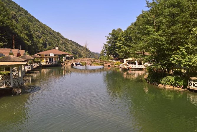 Daily Sapanca Lake + Maşukiye Tour by Private Minivan (Day Trip from Istanbul) - The private driver factor: why names matter