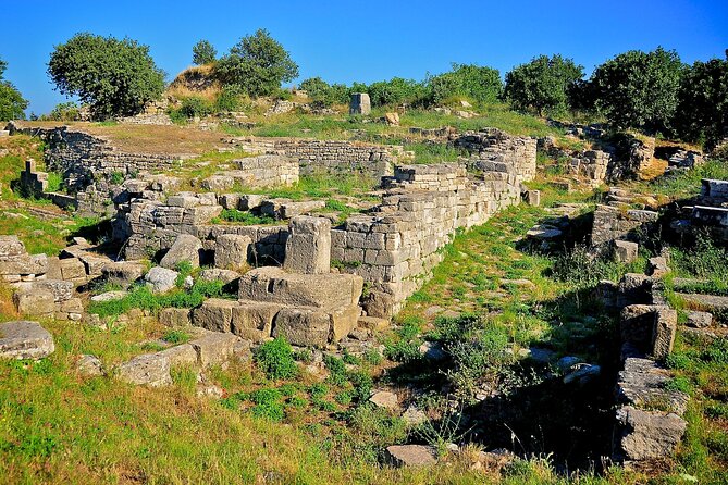 Daily Troy Tour From Istanbul - Price and value: $211.72 for a guided, long-distance day trip