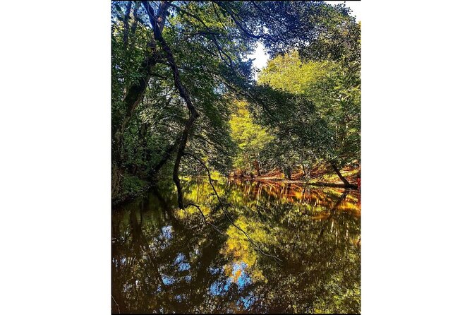 Discover Secret Lakes by Private Hiking Tour (w/Lunch, Transfers) - Lunch in Bahçeköy Village: the real reset point