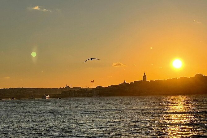 Dolmabahçe Palace Tour with Guide and Luxury Yacht Sunset Cruises - Logistics That Keep the Day From Getting Messy