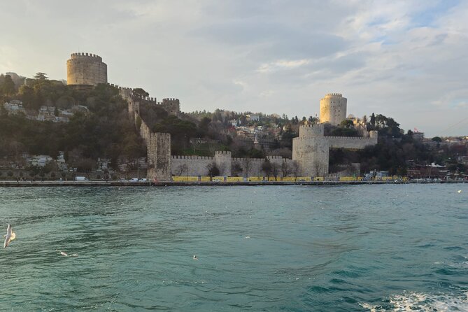 Experience Istanbul: Scenic Bosphorus Cruise with Delicious Lunch - From Galata to the Art Museum: Starting With Istanbul’s “Link Zone”