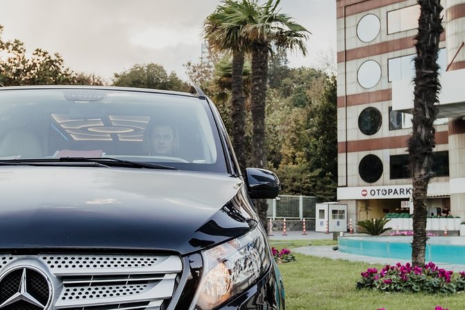 Fat Taxi - Private Istanbul Airport (IST) Transfer to City - Who This Transfer Is Best For