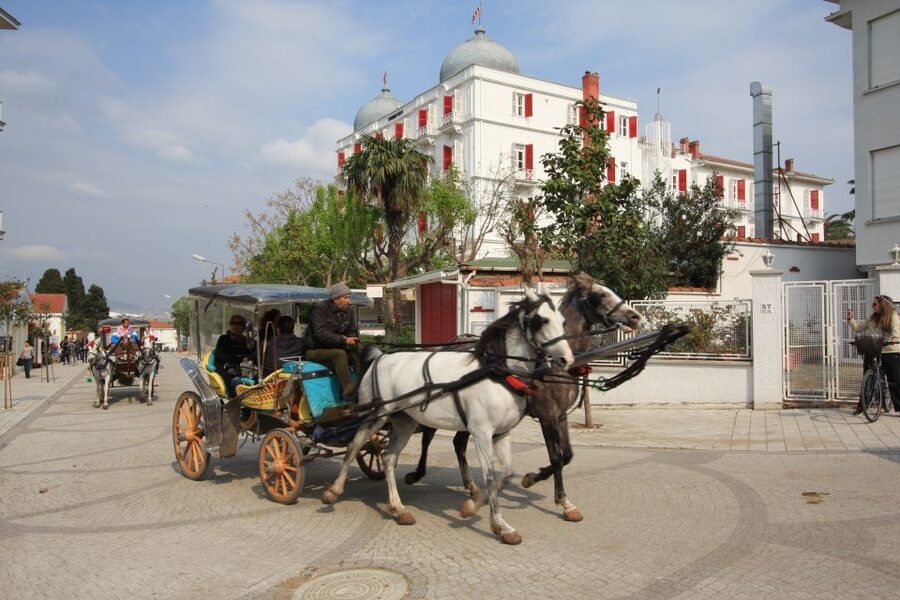 From Istanbul: Full-Day Princes Island Tour with Lunch - Princes Islands As A Reset Button, Right Off the Water