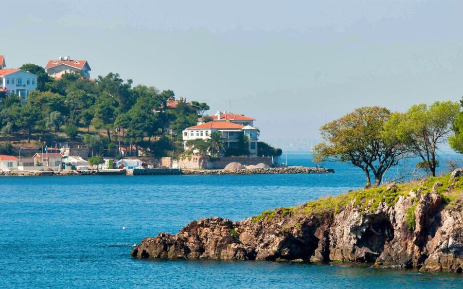 From Istanbul: Full-Day Princes Island Tour with Lunch - Sultanahmet Shopping Stop and Leather Add-On Reality