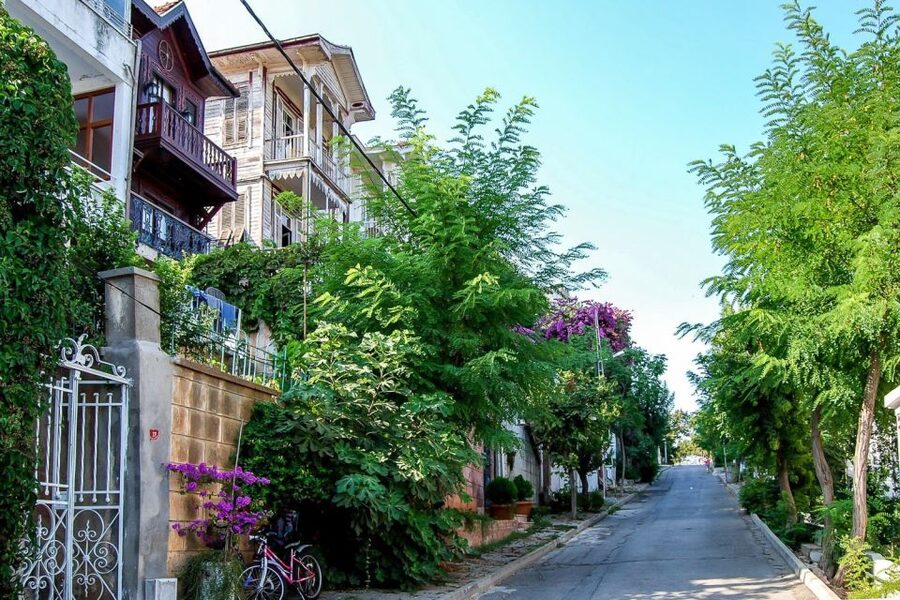 From Istanbul: Full-Day Princes Island Tour with Lunch - Price and Value: Why $26 Can Feel Like More