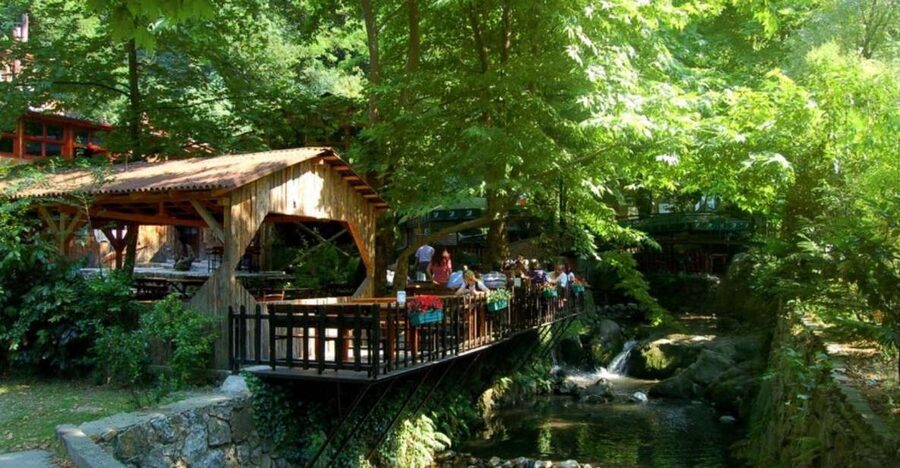 From Istanbul: Guided Day Trip to Sapanca and Masukiye - Sapanca Zoo: animal time with an explanation, not just a photo stop