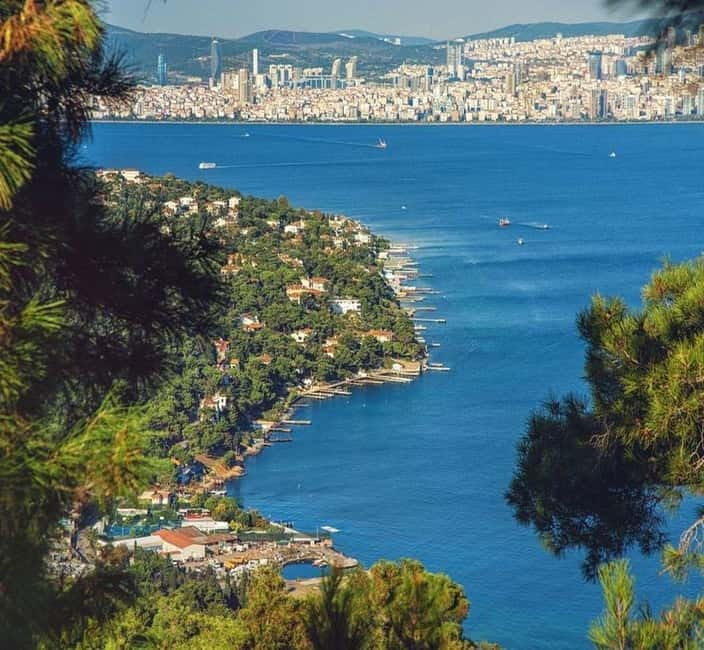 From Istanbul: Princes Island Tour with 2 Islands - Price and value around $16: what you get, what costs extra, and how to plan