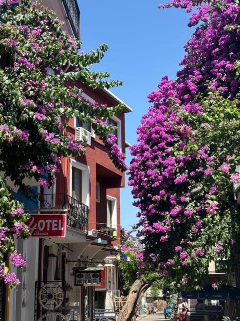 From Istanbul: Princess Islands Guided Tour - Who this tour suits best, and who should skip it