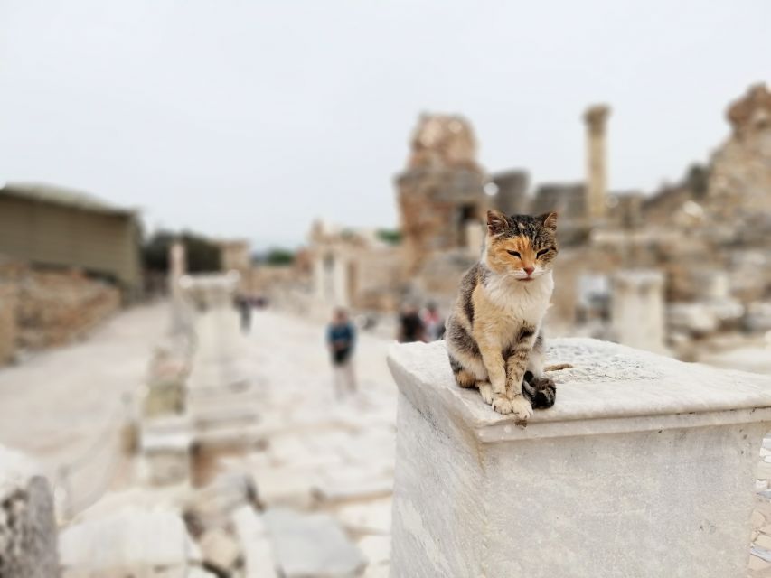 From Istanbul: Private Guided Day Trip to Ephesus with Lunch - Hotel pickup, airport transfer, and flying to Izmir