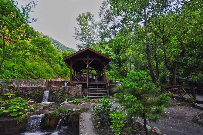 From Istanbul: Sapanca and Masukiye Day Trip with Lunch - Mahmudiye village energy: water activities and zipline time