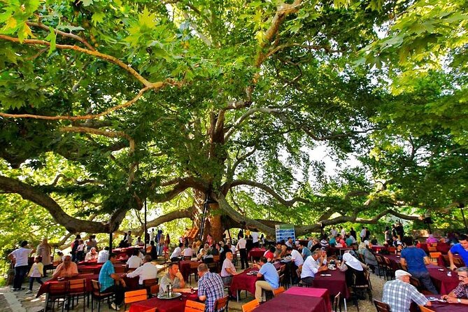 Full Day Bursa Tour from Istanbul(cable car, Lunch & transfer) - İnkaya’s plane tree: a slow, shady reset