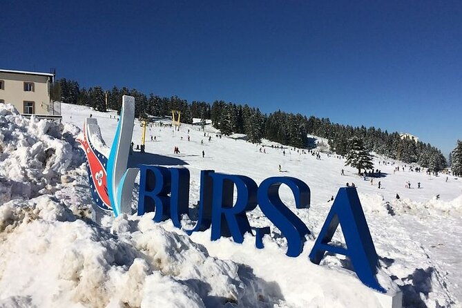 Full Day Bursa Tour from Istanbul(cable car, Lunch & transfer) - Nature first: the park stop and the optional ATV safari