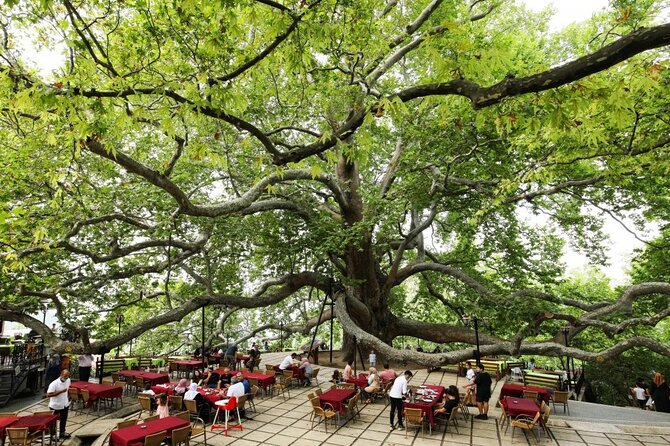 Full Day Bursa Tour with Cable Car & lunch from Istanbul - Lunch timing and the return to Istanbul, usually late