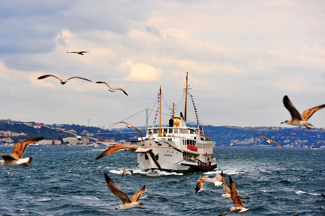 Full Day Cruise Tour in Bosphorus and Two Continents - Should you book this Bosphorus and Two Continents tour?