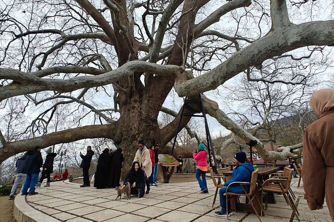 Full Day Guided Tour to Bursa and Uludag - Bursa by Way of the Izmit Bay Ferry Transfer