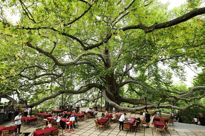 Full Day Guided Tour to Bursa with Lunch and Cable Car - The Cable Car One Way: The Easy Route Down