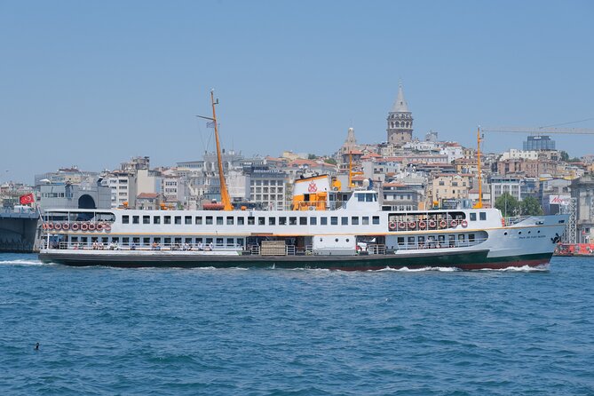 Full Day Istanbul Bosphorus Cruise and Dolmabahce Palace Tour with Private Guide - A private guide who turns stops into a connected story